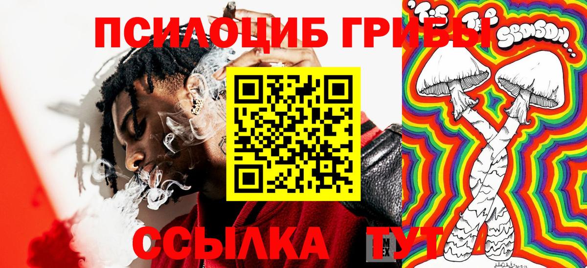 Галлюциногенные грибы MAGIC MUSHROOMS Щёкино