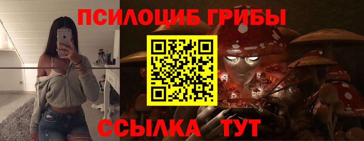Щёкино  Галлюциногенные грибы MAGIC MUSHROOMS  Вход с VPN 